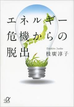 Escape from the Energy Crisis (Japanese) (Junko Edahiro)